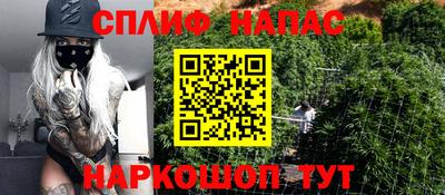 СК Краснодар