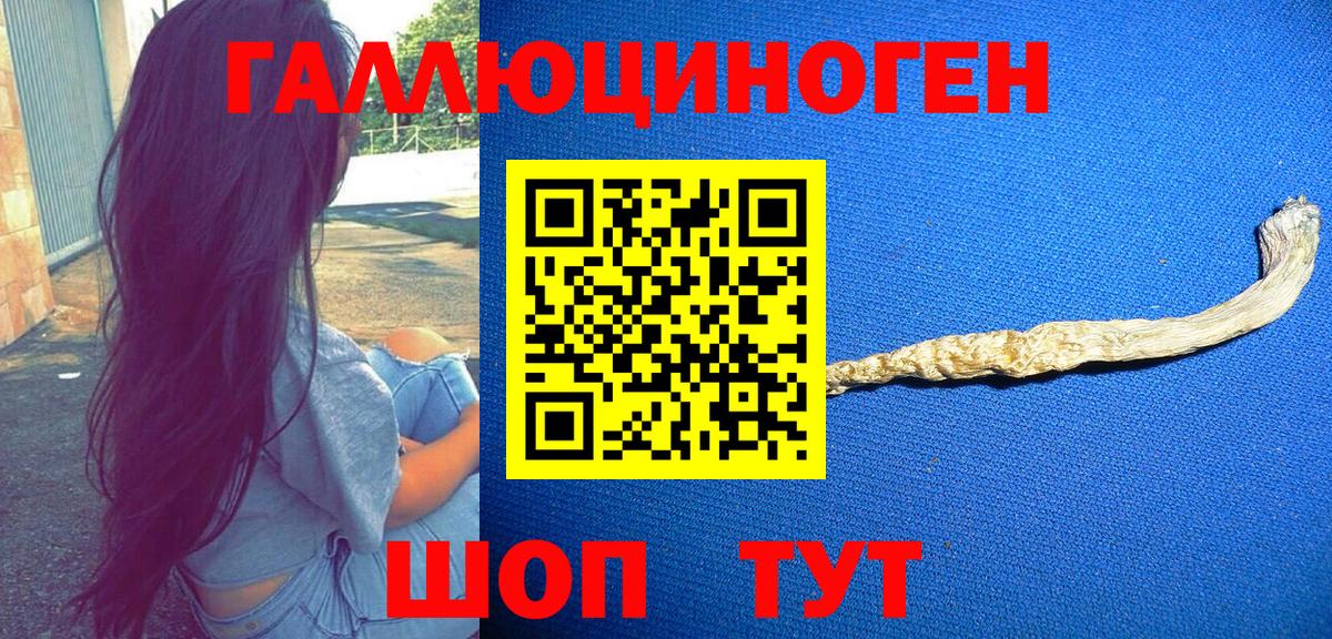 Псилоцибиновые грибы GOLDEN TEACHER Железногорск